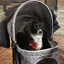 The Old no. 102 Tap House restaurant view 2