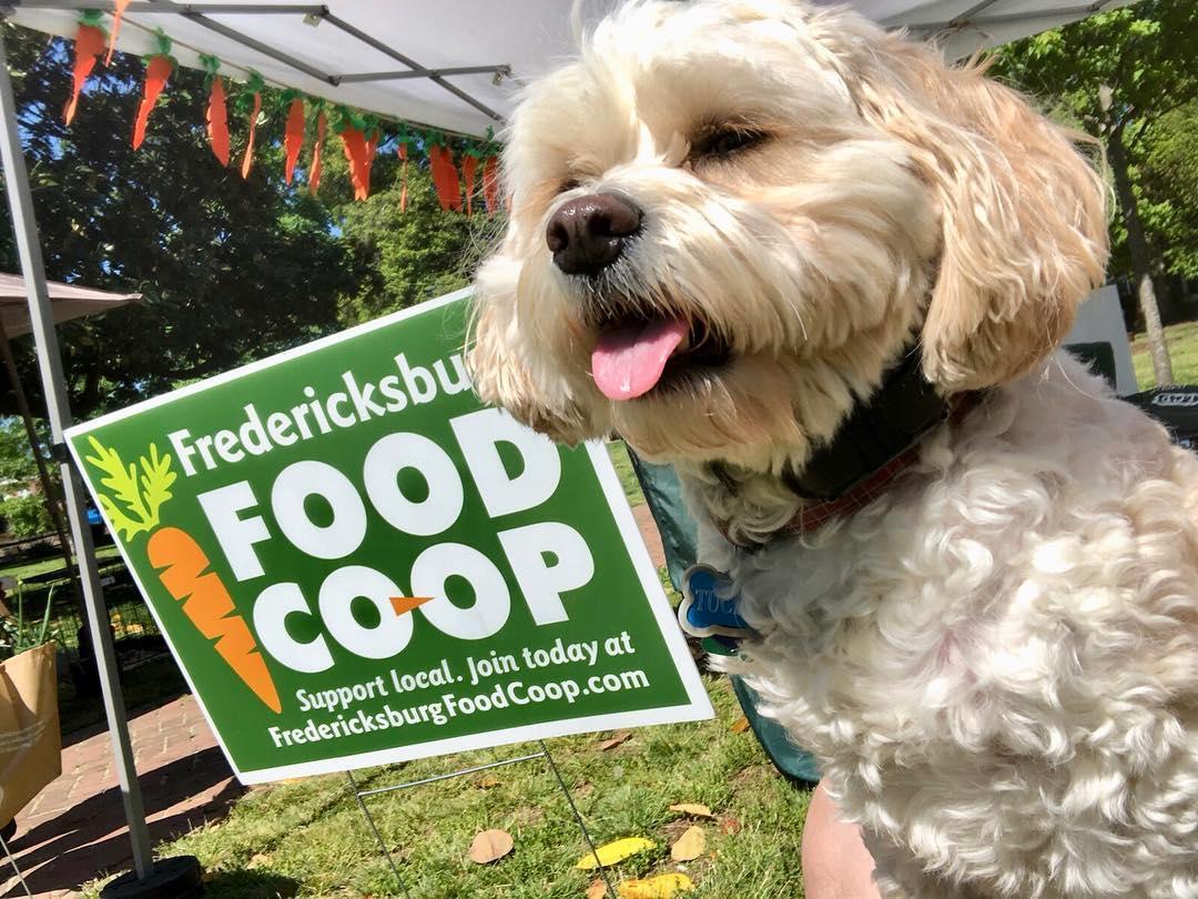 Dog Friendly Farmers Markets BringFido