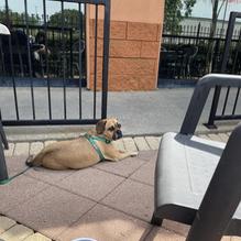 Mr. Ed's Seafood & Italian Restaurant, Kenner restaurant view 1