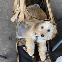 Spirits Food & Friends restaurant view 4