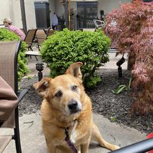 Digby's restaurant view 2