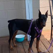 Back Porch Bistro restaurant view 3