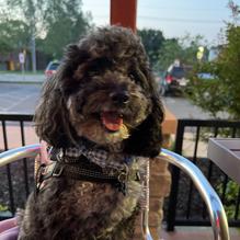 Rib Crib restaurant view 1