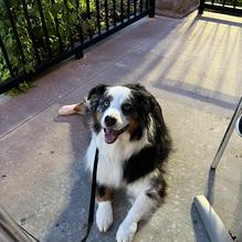 Rib Crib restaurant view 2