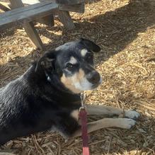 Vista Brewing restaurant view 1