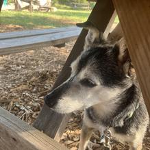 Vista Brewing restaurant view 2