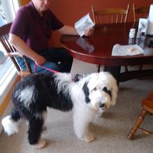 Zack's Sandwich Shack restaurant view 5