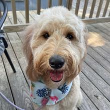 Castaways restaurant view 3