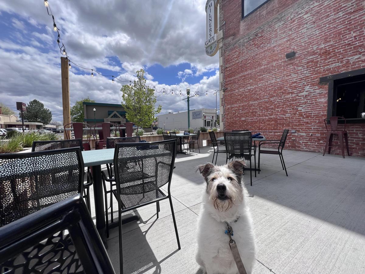 Milner's Gate - Idaho Craft Brewery restaurant view 2