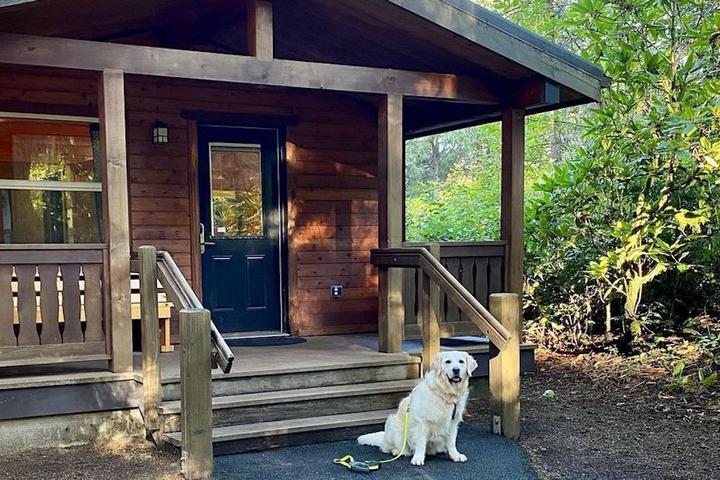 A dog sits in front of a pet-friendly state park cabin.