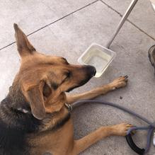 Circle D Eatery restaurant view 1