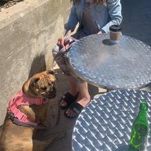 Melville Café restaurant view 1