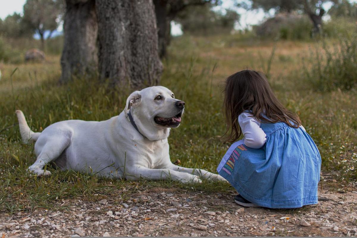 Best dog for little hot sale girl