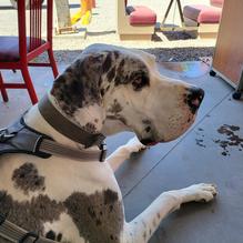 Sparkys BBQ and Espresso restaurant view 2