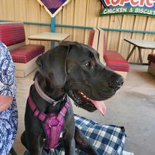 Sparkys BBQ and Espresso restaurant view 1