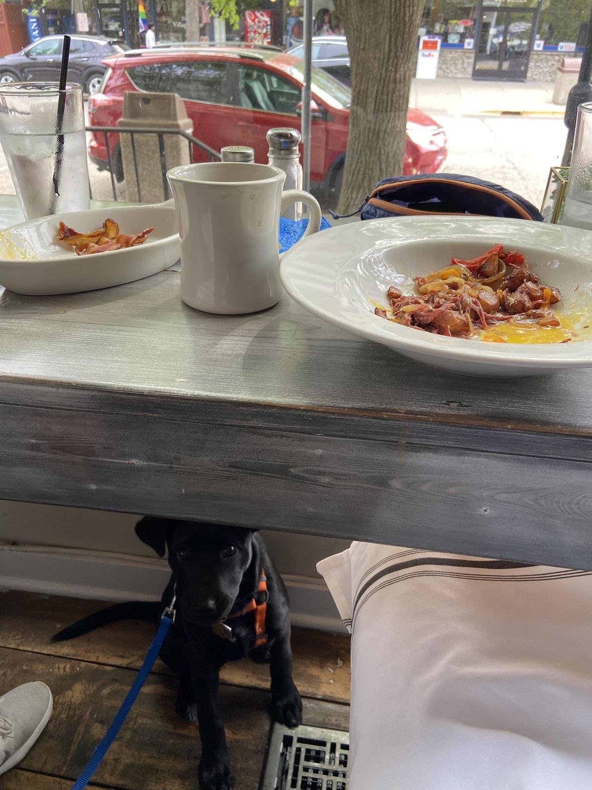 Pumpernickel's Eatery restaurant view 1