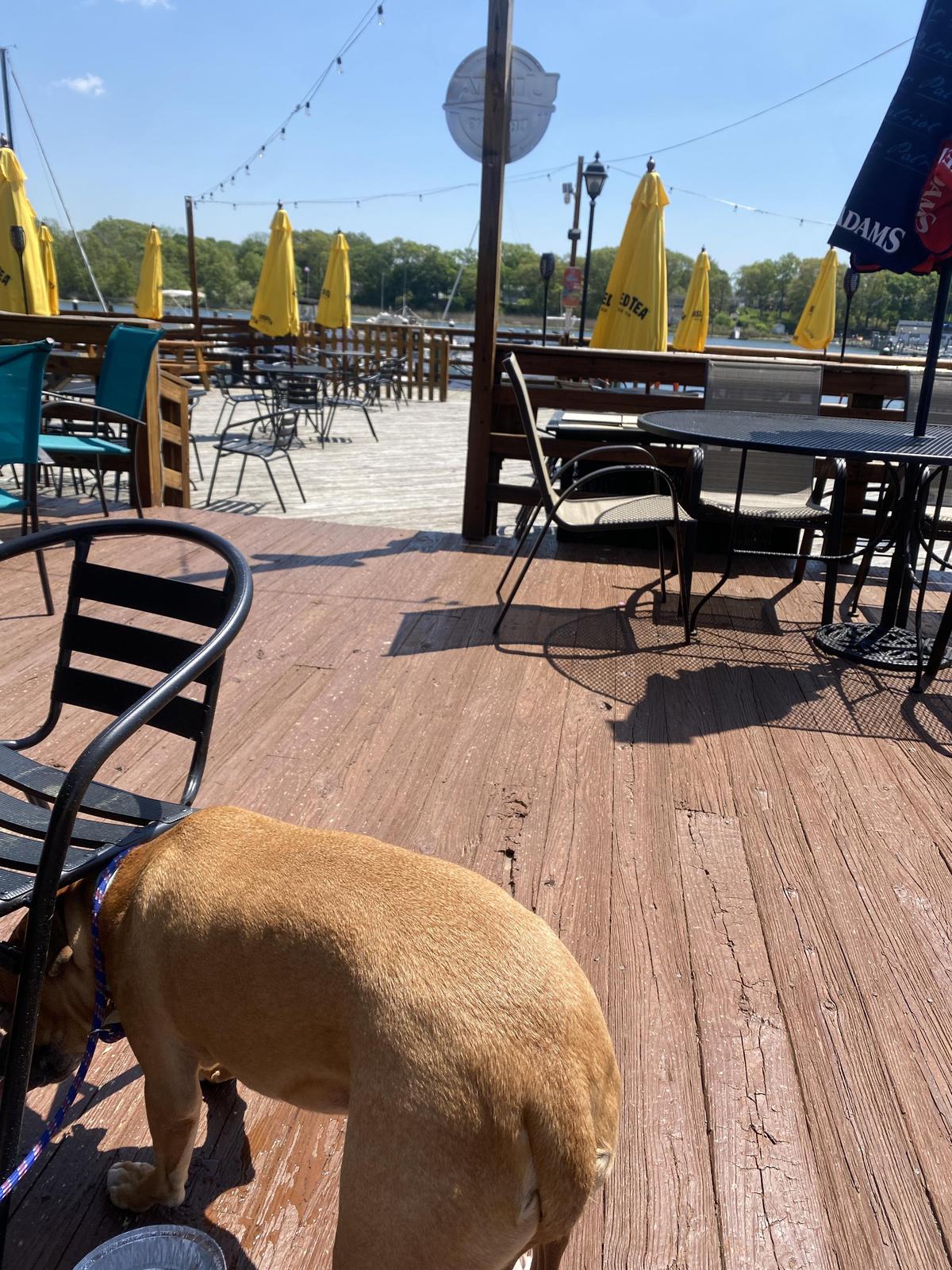 Joey C's Boathouse Cantina & Grill restaurant view 3