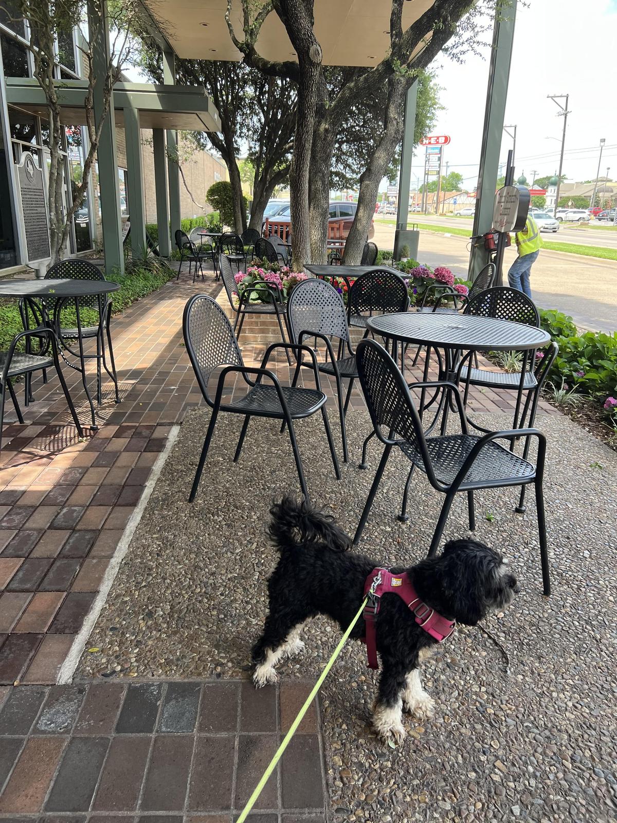 Collin Street Bakery restaurant view 1