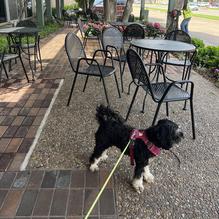 Collin Street Bakery restaurant view 1