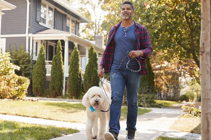 A man walks a dog through a suburban town.