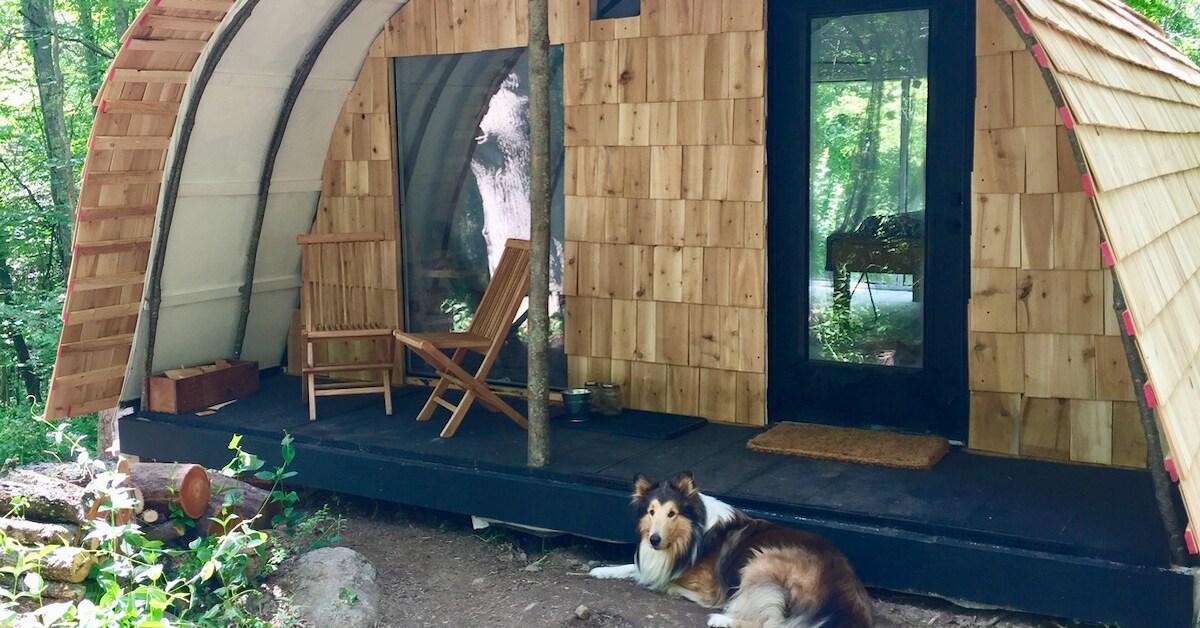 Looking for the most unique pet-friendly Airbnb.