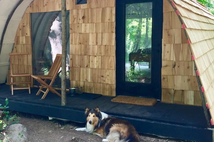 Most Unique Pet-Friendly Airbnb in Every State