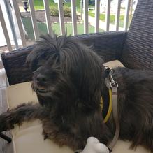 The Fish restaurant view 4