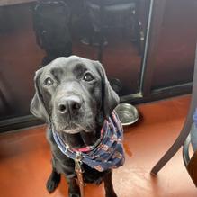 Maverick's restaurant view 5