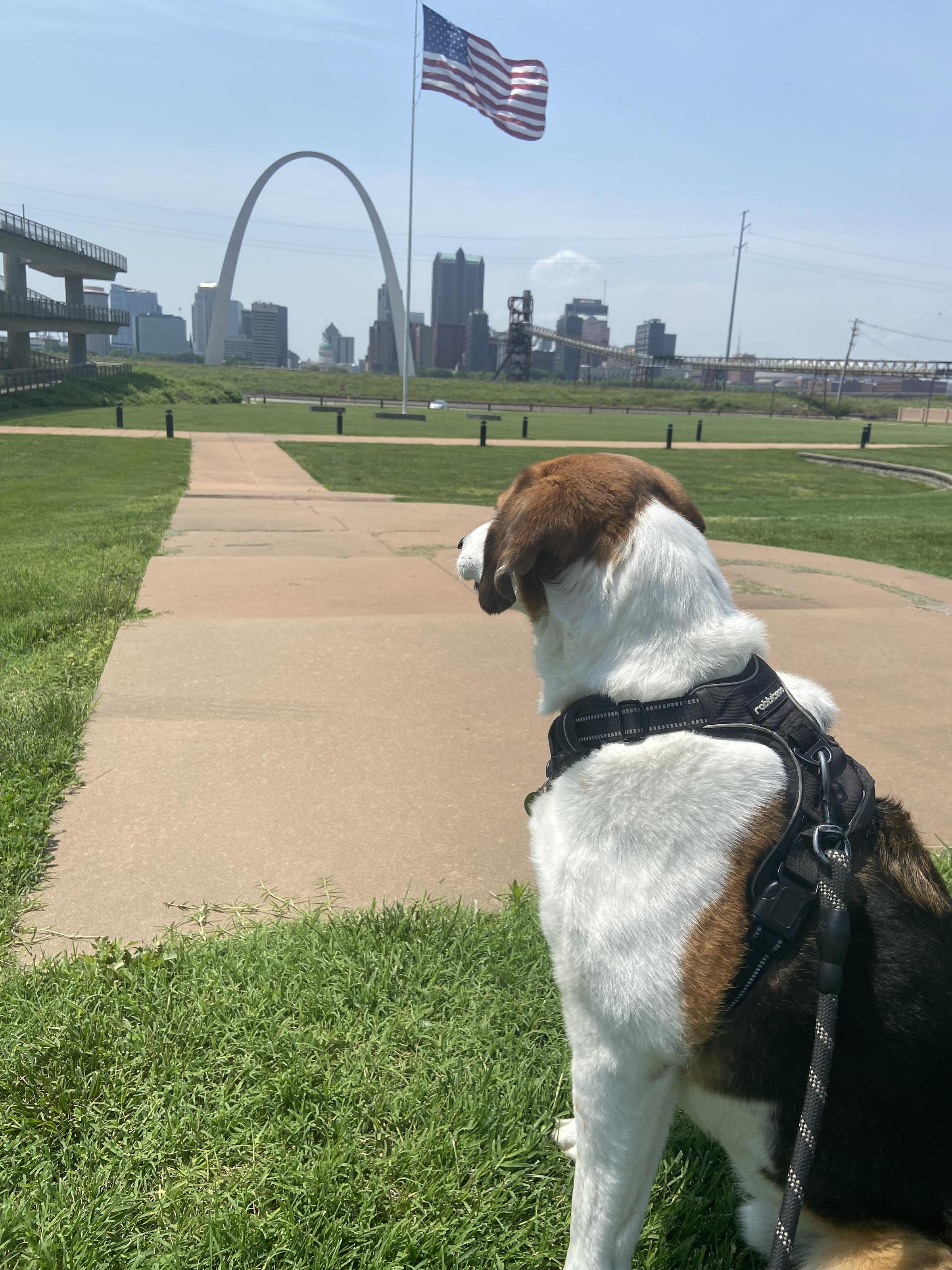 se admiten perros en el parque conmemorativo malcolm w martin