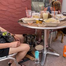 Baja Beach House Grill restaurant view 1