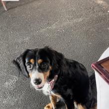 Pancho Villa restaurant view 1