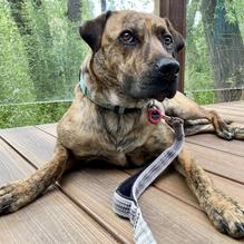 The Tipsy Trout restaurant view 1