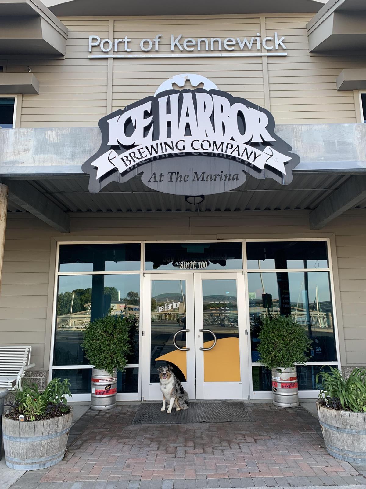 Ice Harbor Brewing Company restaurant view 1