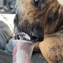 Starbucks restaurant view 1