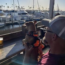 Oceanside Broiler restaurant view 4