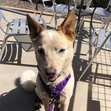 Stufrageous Stuffed Burgers restaurant view 3