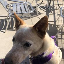 Stufrageous Stuffed Burgers restaurant view 1