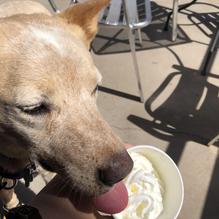 Stufrageous Stuffed Burgers restaurant view 2