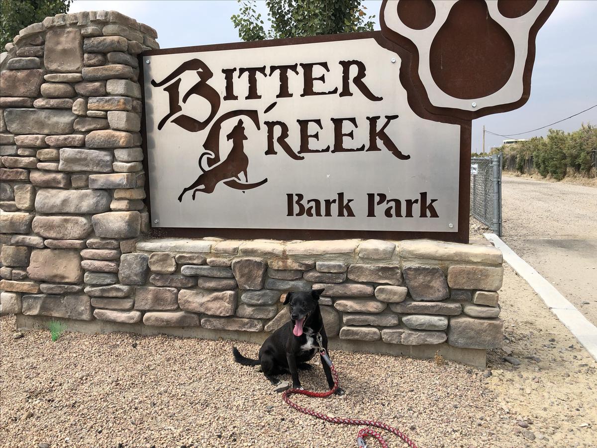 Bark in the Park - St Catherine's Hospice