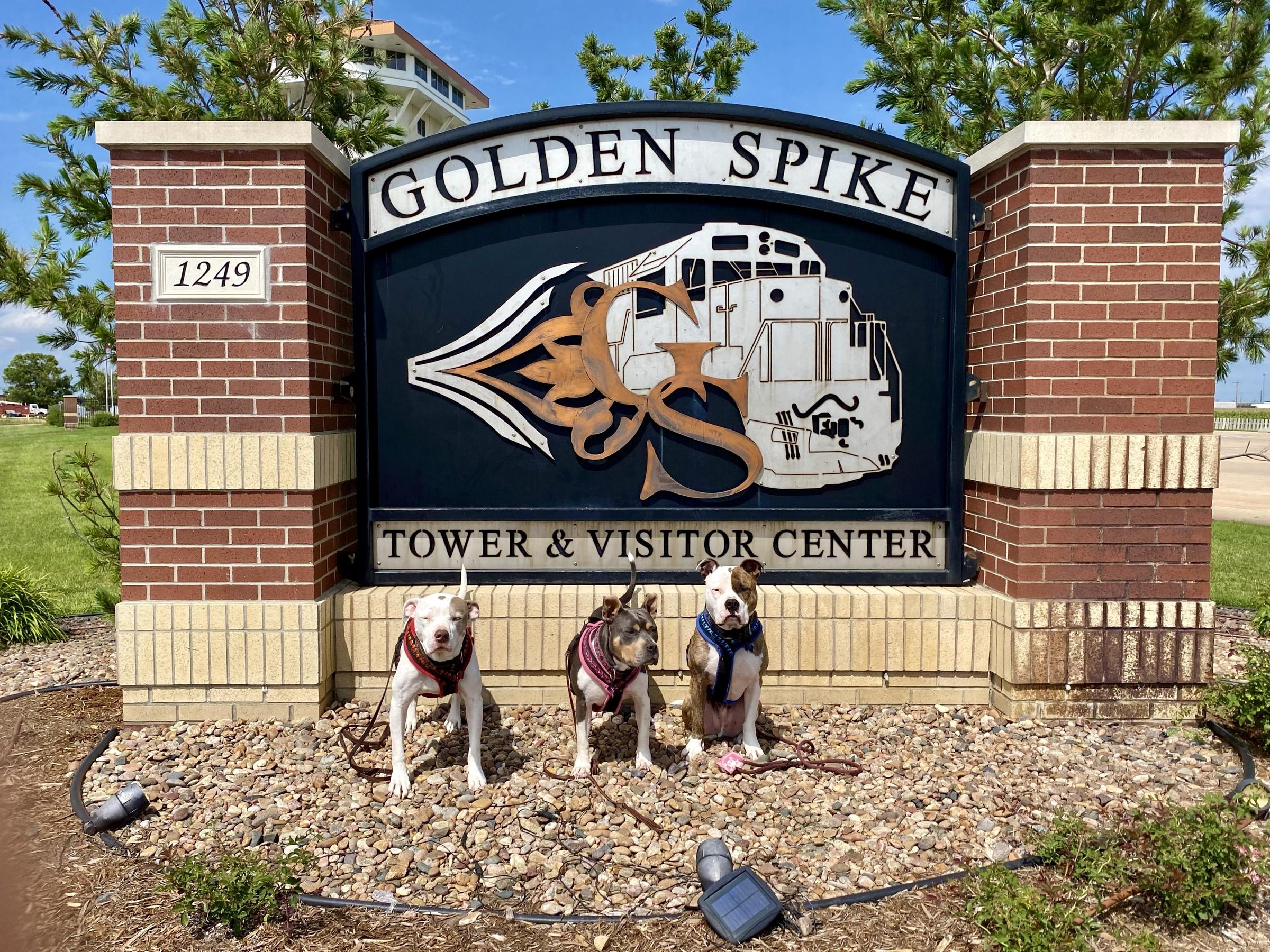Pet Friendly Golden Spike Tower & Visitor Center