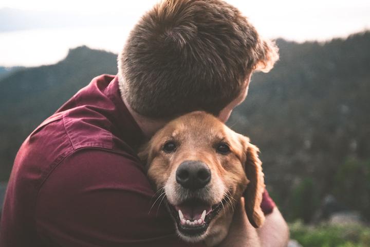 A man hugs a Golden Retriever dog