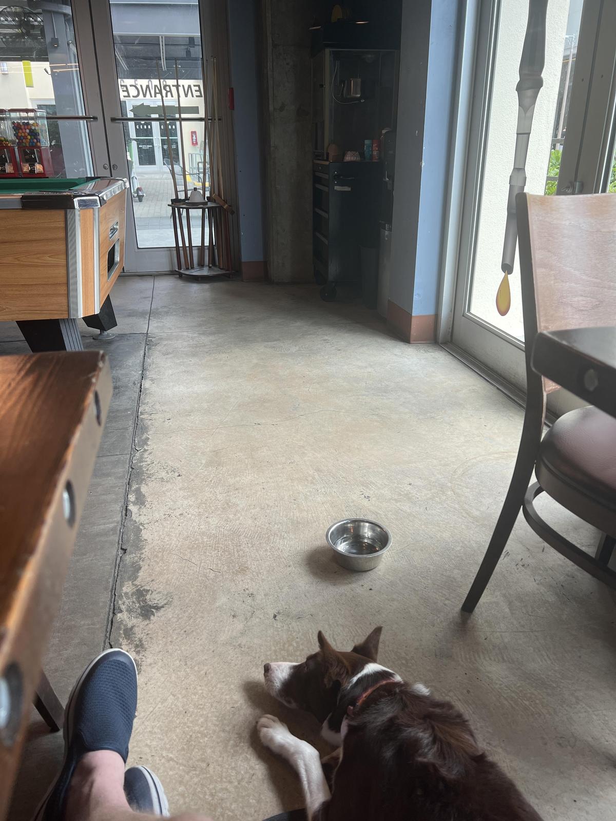 Ginger Beard Coffee restaurant view 1