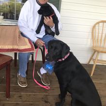 Grapevine Farms restaurant view 3