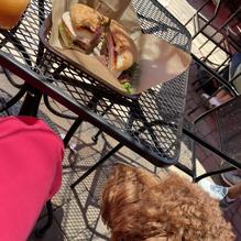 The Brown Bag Bistro restaurant view 2