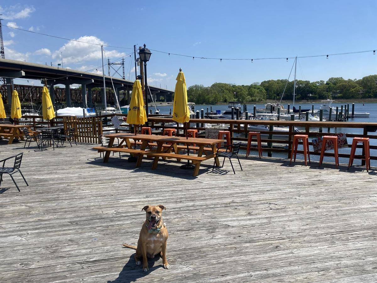 Joey C's Boathouse Cantina & Grill restaurant view 2