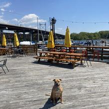 Joey C's Boathouse Cantina & Grill restaurant view 2