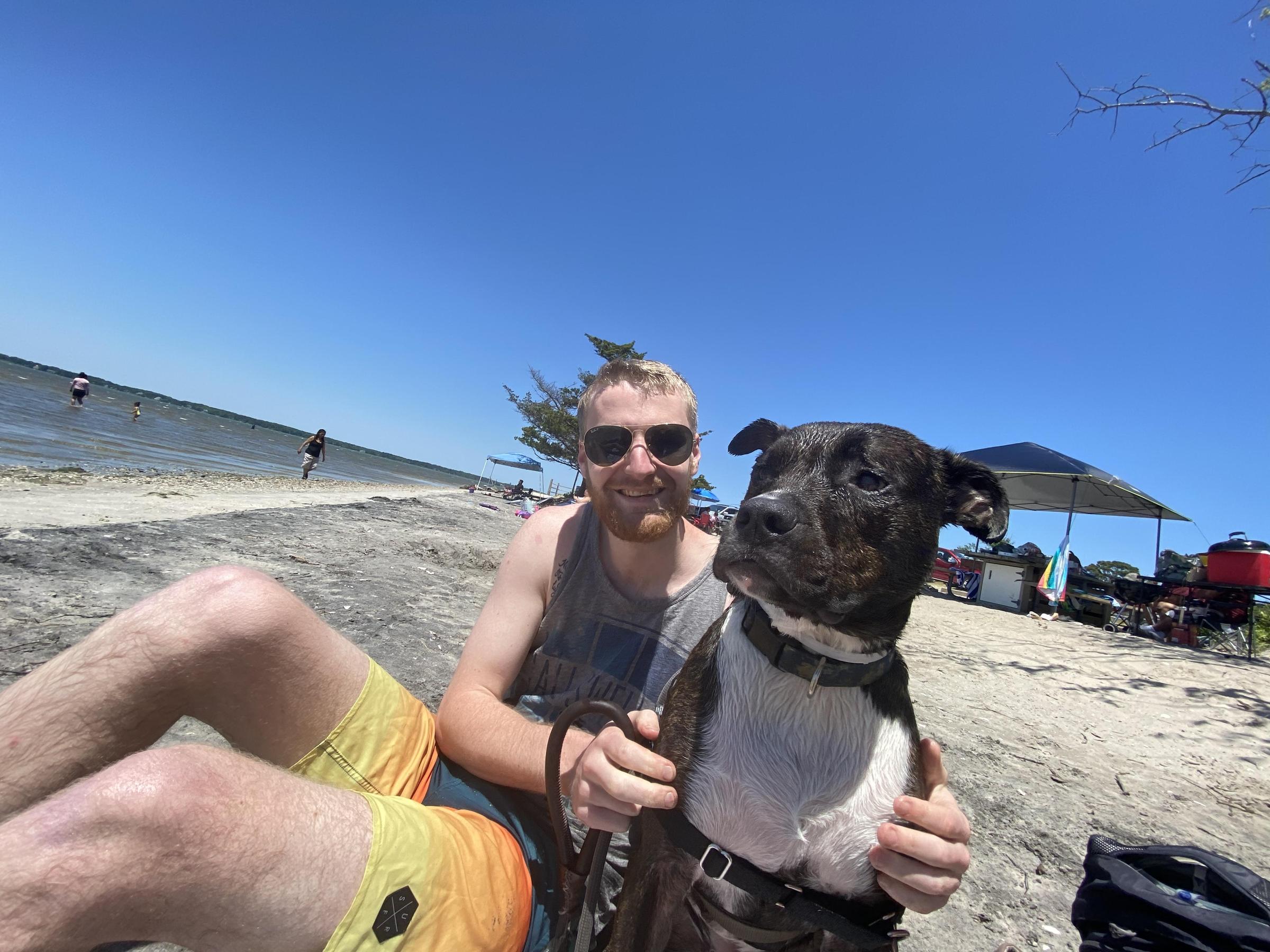 Are Dogs Allowed On Assateague Island
