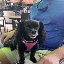 Pastry Art Cafe restaurant view 1