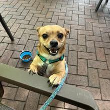 Pastry Art Cafe restaurant view 2