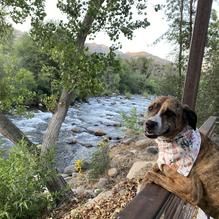 River View Restaurant & Lounge restaurant view 2